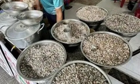 Giá vàng đu đỉnh cũng không bằng lon ốc lể miền Trung