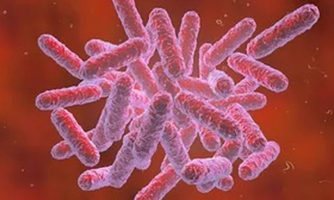 Bộ Y tế khuyến cáo người dân biện pháp phòng bệnh Whitmore