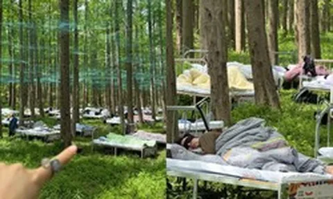 Cuộc thi ngủ trong rừng đang hot ở Trung Quốc: Kín 400 suất đăng ký, tiền thưởng cho “thần ngủ" là bao nhiêu?