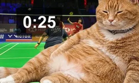 Ứng dụng hay: Chú mèo béo đáng yêu "nằm chình ình" trên màn hình để nhắc nhở mọi người không lướt mạng xã hội nữa