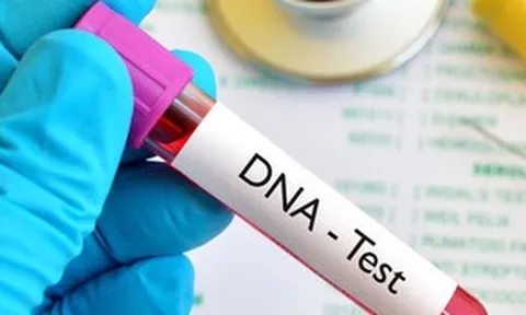 Cô gái lạ dắt đứa trẻ và giấy xét nghiệm ADN đến nhận cha khi chồng tôi vừa mất