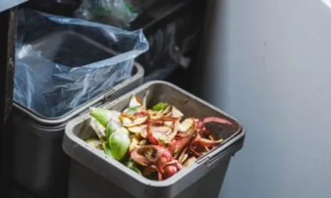 Trời nóng, làm sao để loại bỏ mùi hôi thùng rác nhanh chóng?
