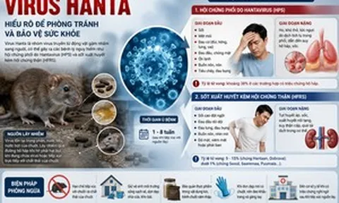 Virus Hanta gây bệnh gì?