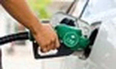 Lời khuyên đến những người đổ xăng sinh học