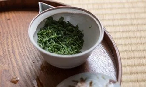 Dùng bã trà bón loại cây văn phòng nào là tốt nhất?