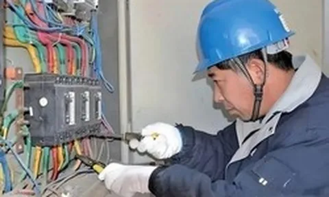 Phát hiện lượng điện cao bất thường tại khu nuôi tôm, cảnh sát vào cuộc điều tra, bắt giữ 2 đối tượng "trộm" hơn 60.000 kWh điện