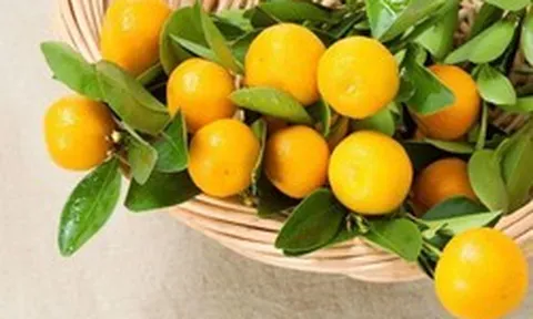 5 loại “quả vàng” được ví như cao thủ tiêu đờm: Ăn đúng cách giúp làm sạch phổi, giảm ho, cổ họng dễ chịu