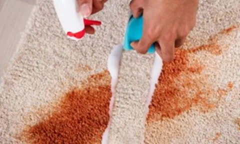 5 cách làm sạch thảm hiệu quả mà không cần giặt