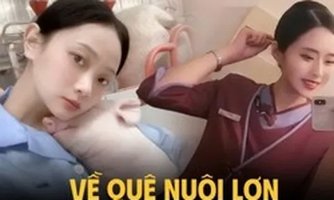 Bỏ việc tiếp viên hàng không về quê nuôi lợn, tháng kiếm hơn 300 triệu