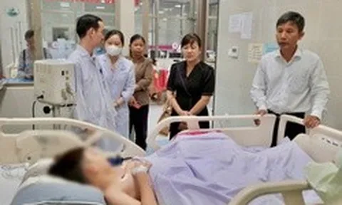 Vụ gần 300 người nghi ngộ độc bánh mì ở Đồng Tháp: Phát hiện vi khuẩn Salmonella
