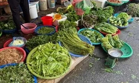 5 loại rau đang đúng mùa, đi chợ thấy là nên mua