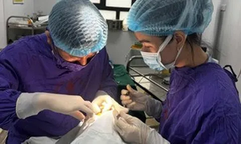 Dập nhãn cầu, lệch thủy tinh thể vì quả cầu lông đập vào mắt