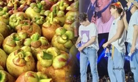 Nữ hoàng trái cây Việt giá 3 triệu/kg khiến khách Hàn lùng sục, làm ông hoàng Kpop mê điên đảo theo