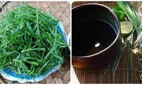 Cỏ mần trầu nấu nước uống có tác dụng gì?