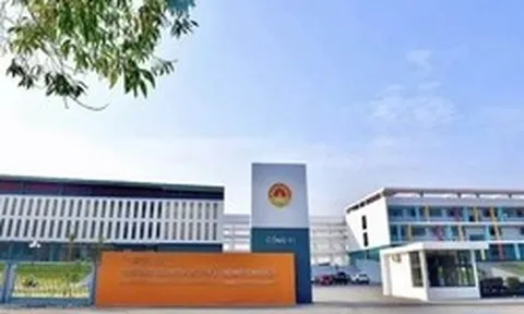 Tỉnh Tuyên Quang báo cáo Thủ tướng về điểm thi môn Toán cao bất thường