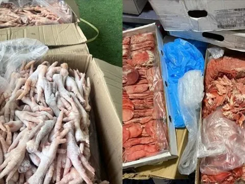 Thu giữ hơn 2,5 tấn thực phẩm đông lạnh không rõ nguồn gốc ở Đà Lạt