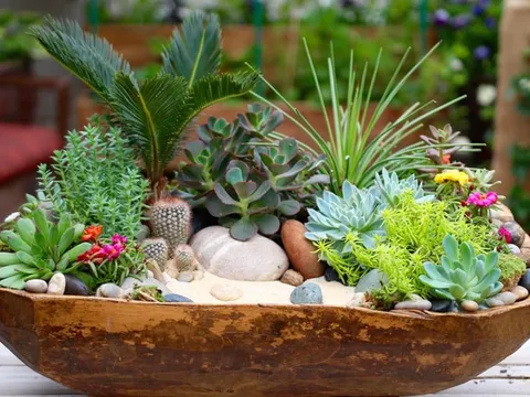 WHO đặc biệt cảnh báo 1 nguy cơ ngay trong nhà: Chuyên gia khuyên trồng loại cây giá rẻ này để "hóa giải"