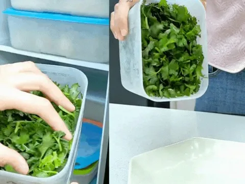 Bí quyết giữ rau thơm tươi lâu: Có nên trữ đông rau mùi (ngò rí)? Vì sao để tủ lạnh lại bị thâm đen?