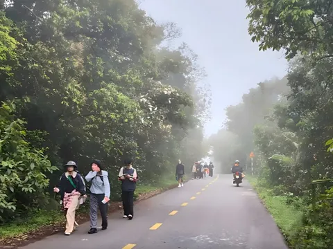 Du khách tham quan bán đảo Sơn Trà cần biết điều này