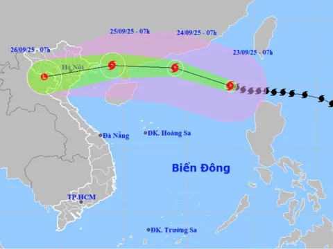 Bộ Y tế chỉ đạo khẩn