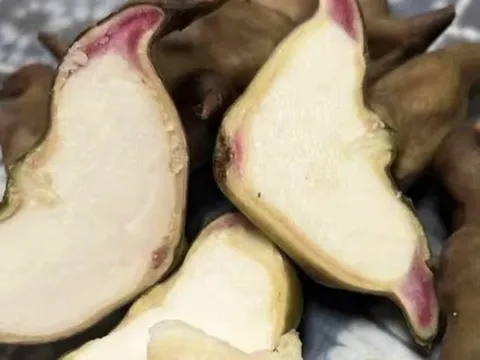 Ra chợ gặp 3 loại rau củ này nhớ mua ngay, không thuốc trừ sâu lại "bổ như sâm"