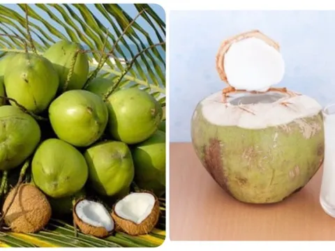 Uống nước dừa tươi vào buổi sáng có tác dụng gì? 0