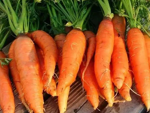 4 loại thực phẩm tích tụ cả kho vi nhựa, loại cuối cùng người Việt vẫn ăn hàng ngày