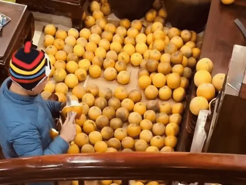 Trung bình nhà miền Bắc mỗi dịp Tết: Càng xem càng dejavu, cảnh tượng này trong mơ cũng vẫn ám ảnh