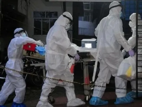 Virus Nipah nhóm A gây tử vong tới 75%, Bộ Y tế ra văn bản hỏa tốc 0