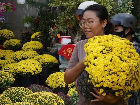 Ấm lòng ngày giáp Tết: Người dân TP.HCM chung tay giải cứu từng chậu cúc mâm xôi, giúp bà con nông dân miền Tây vơi bớt nỗi lo mất mùa