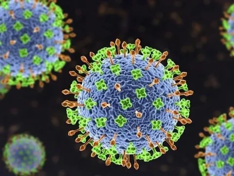 Chuyên gia: Virus Nipah khó lây lan rộng như COVID-19 0