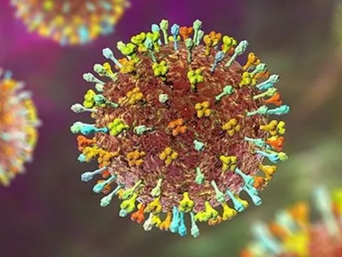 Bác sĩ chỉ dấu hiệu nhận biết và cách phòng tránh virus Nipah 1