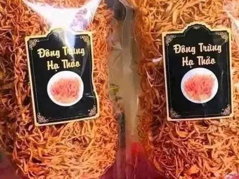 Đông trùng hạ thảo 350.000 đồng/kg: Giá rẻ bất thường, chất lượng khó kiểm soát 0