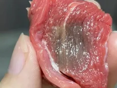 Thịt bò chuyển sang màu xám có phải bị hỏng? Chuyên gia chỉ mẹo xác định độ tươi của thịt bò