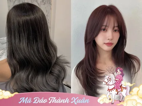 Những màu tóc nhuộm hợp tuổi giúp chị em vừa trẻ lại cả chục tuổi lại thu hút may mắn, tài lộc năm 2026