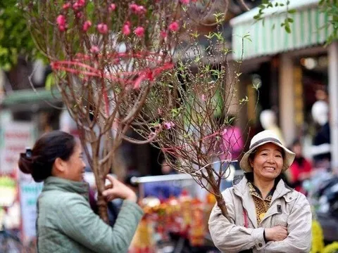 Thông tin mới nhất về thời tiết Tết Nguyên đán trên cả nước: Liệu còn cảnh rét cắt da cắt thịt?