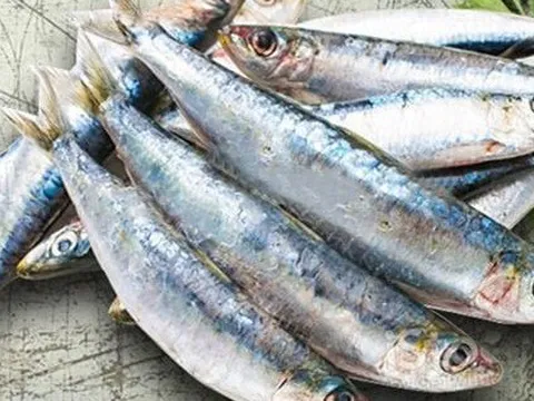 7 loại cá tích tụ thủy ngân nhiều bậc nhất