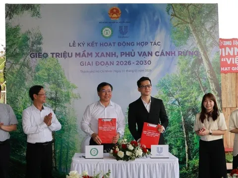 Từ kỷ lục Guinness đến 1 triệu cây xanh: Unilever và chiến lược "hồi sinh" rừng Việt Nam