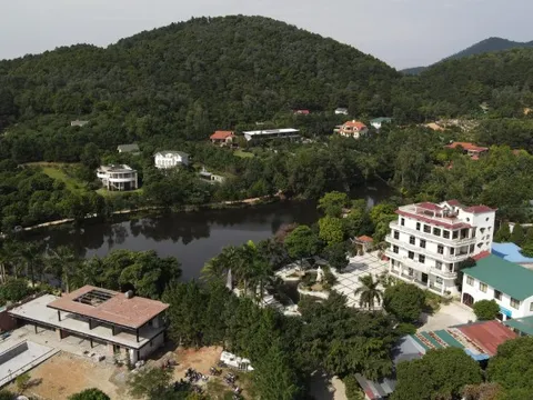 Viện dưỡng lão nội trú duy nhất giữa rừng thông: Cách trung tâm Hà Nội 40km, giá từ 300.000đ/ngày