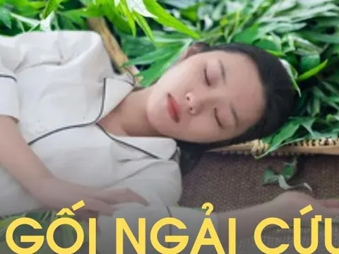 Tôi dùng ngải cứu làm bông nhồi gối trong 6 tháng, sau đó đi khám sức khỏe và bác sĩ đã rất "ghen tị" vì lý do này