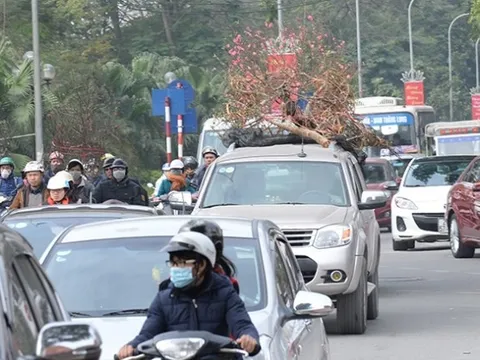 Về quê ăn Tết, chở đào, quất trên nóc ô tô con có bị phạt không?