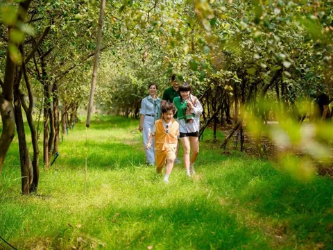 Du xuân 2026: Sơn Tiên giới thiệu Khu du lịch Đông Nam Bộ mang đậm sắc màu miệt vườn Nam Bộ