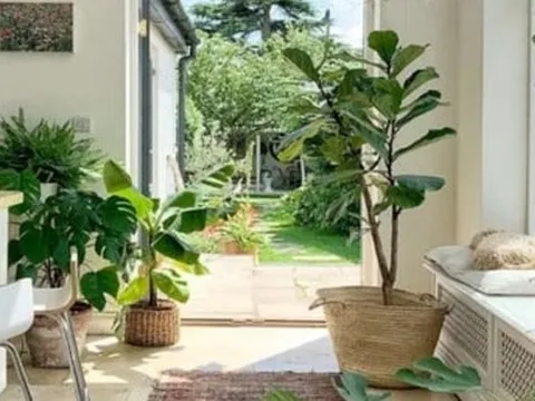 3 dấu hiệu chứng tỏ ngôi nhà của bạn đang có phúc khí, càng ở càng có lộc, đừng dại bán đi