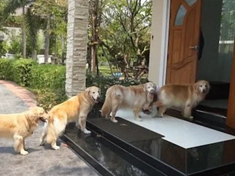 Cận Tết 2026: Nhà có 6 điều này báo hiệu điềm lành, vận khí khởi sắc