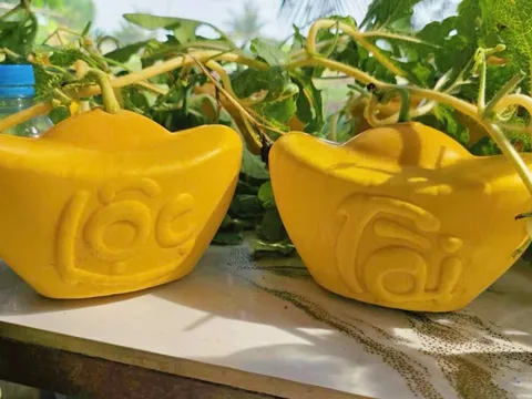 Trái cây tạo hình 2 triệu đồng/quả vẫn không đủ bán