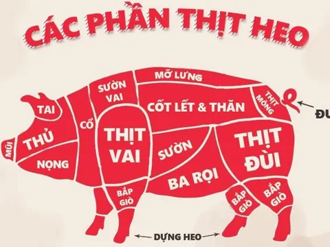 Bộ phận này của con heo được ví là “tinh hoa”: Vừa ngon lại rẻ, bổ huyết thanh phổi