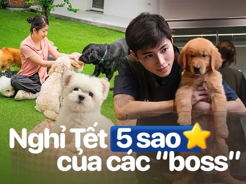 Thú cưng đi nghỉ Tết ở resort cao cấp, có “quản gia” phục vụ cả ngày: Phụ thu 35%, chủ vẫn chi tiền