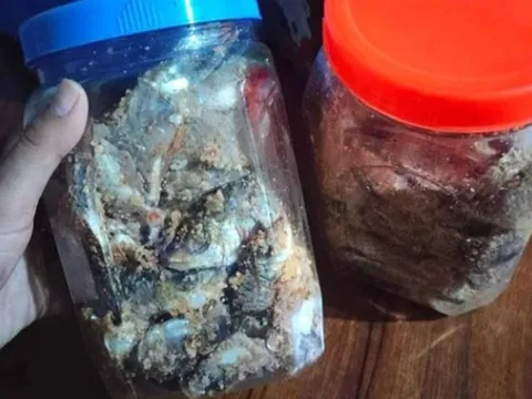 Nghi ngộ độc sau khi ăn cá ủ chua ngày cận Tết 0