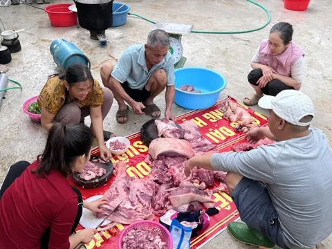 Tục "đụng lợn", "đụng bánh chưng" giữ nhịp Tết làng quê