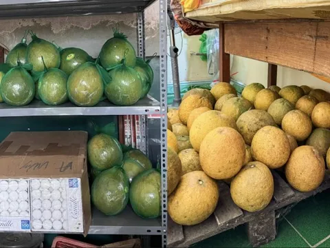 Cảnh tượng nhìn là biết Tết miền Bắc